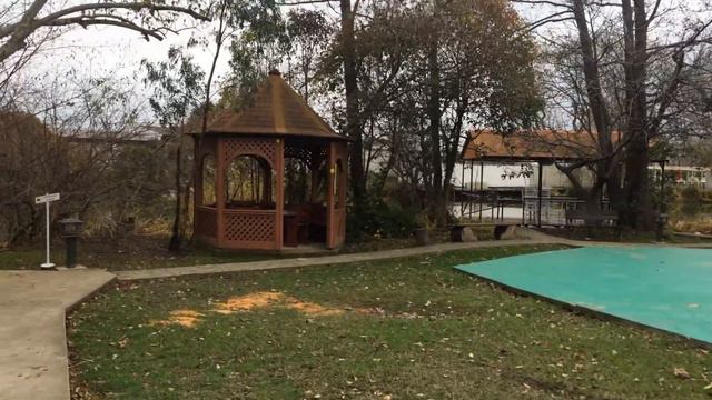 Влог - Марси сделали последний рентген / Лебеди на озере / Жизнь в Сочи