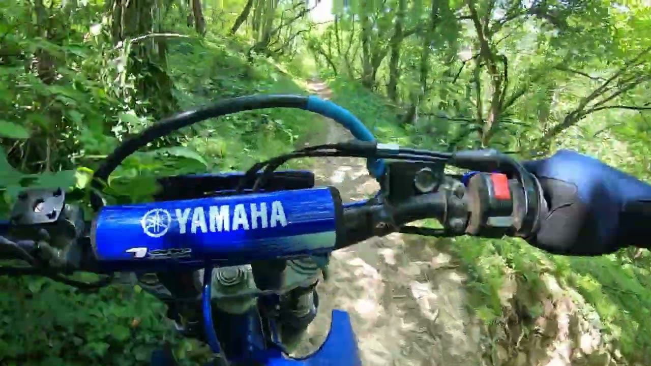 Эндуротропа. Спуск от "столов" в Глебовку. Трейл "Чистый". Лёгкий. Yamaha TTR250