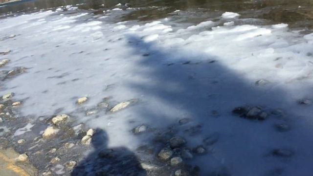8 декабря 2019 г.