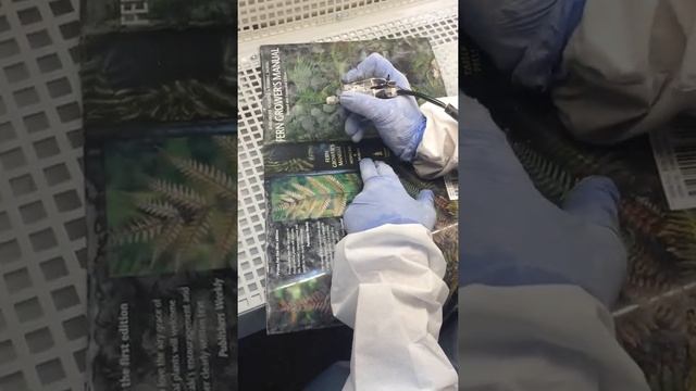 Сухая чистка книги