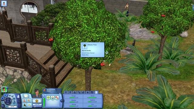The Sims 3: World Adventures - NRAAS Master Controller Mod, Fires | Full Game Play Stream - Part 3