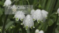 #Частота_Шумана и #вознесение_Земли Как выйти на высокие #вибрации?