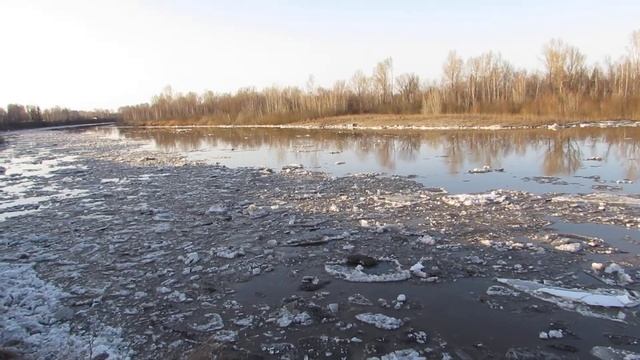 Ледоход на Чумыше 2 апреля 2014 года