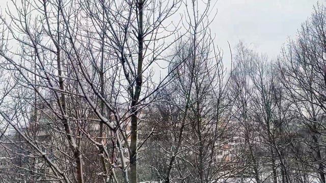 Всем доброго субботнего утра с 1 Апреля вас друзья с Днём смеха 1.04 всем море улыбок и позитива и