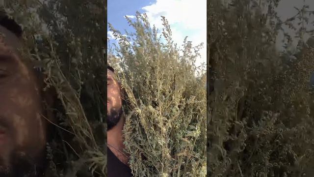 В отпуске - работаем!