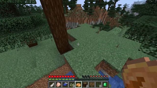 Minecraft java