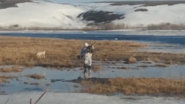 Воркута охота2015