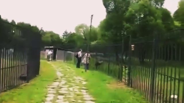 16 декабря 2022 г. 1.mp4