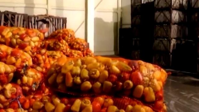 Як малому та середньому бізнесу вийти на європейський ринок?