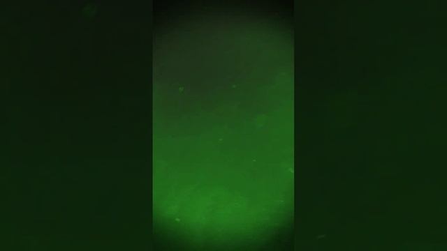 когда наливной пол залит на пыльную основу