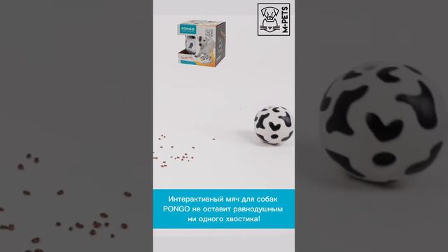 Интерактивный мяч PONGO для лакомств 🐶 Ссылки в описании!