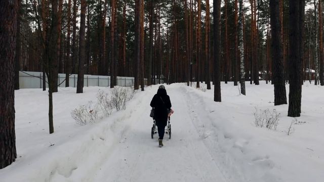 ❪4K❫ Эко-отель «ВЕЛЕС» – отдых в сосновом лесу. Обзор лучшего семейного отеля. Владимирская область