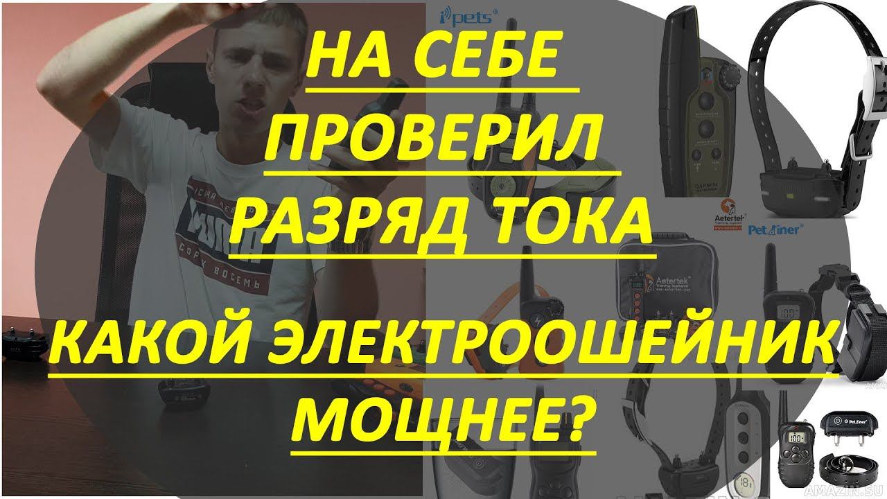 На себе проверил разряд электроошейника для собак. Как выбрать какой электроошейник лучше бьет?