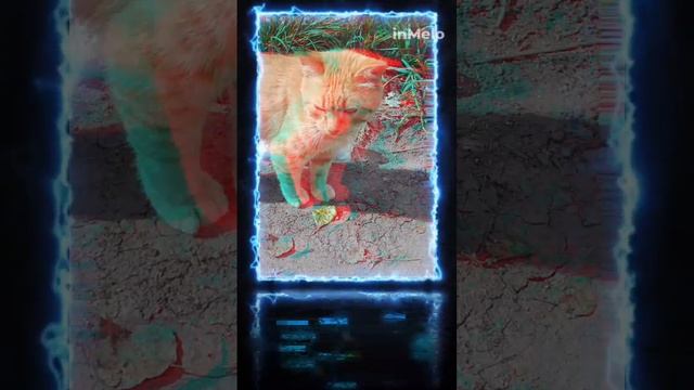 Ищем добрые ручки.