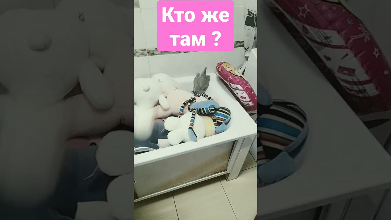 Кто же там ?