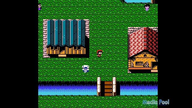 Faria: A World of Mystery and Danger [NES] |