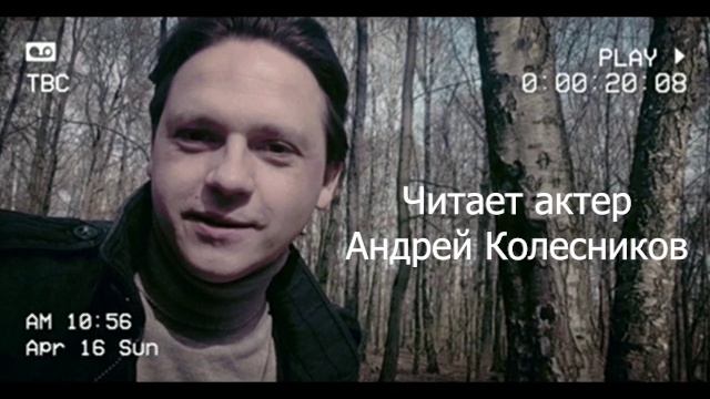 #стихи #рекомендации #новости