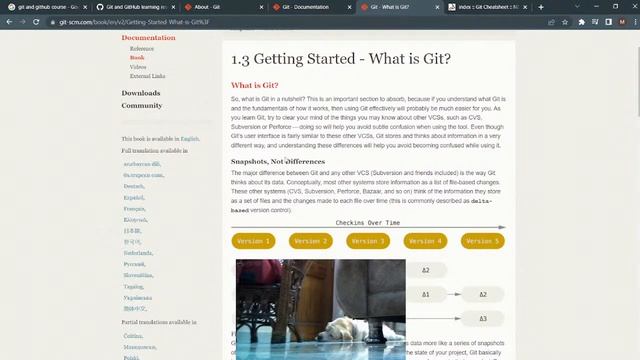 study with me :) || git & github + dog cam :D