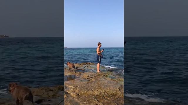 Испания , на камнях собака потеряла хозяина