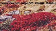 В чем секрет черного камня Каабы ?