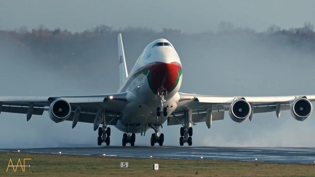Boeing 747 Bird-Strike