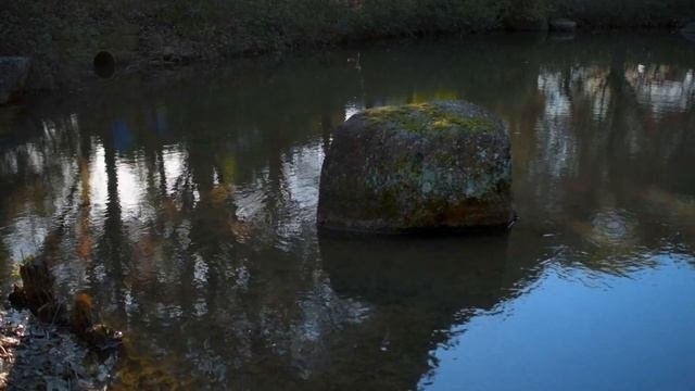MEDITATION- ZEN MUSIC