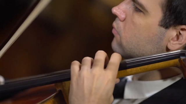 Ed Sheeran - SHAPE OF YOU - String quartet cover by SPN Events Inc.