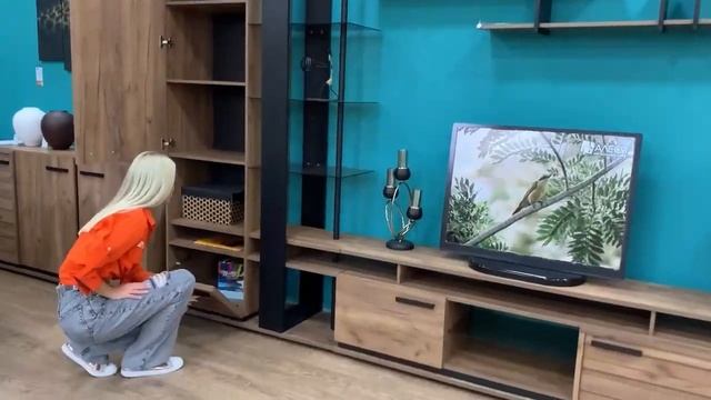 Модульная коллекция мебели для гостиной "Nature"
