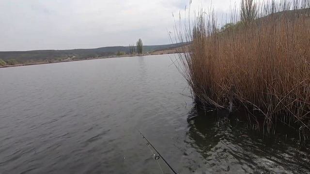 Ловля карася в апреле на поплавочную удочку И красноперка на попла поппер