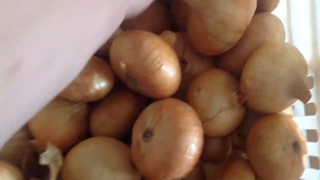 За картошкой на брошенное поле