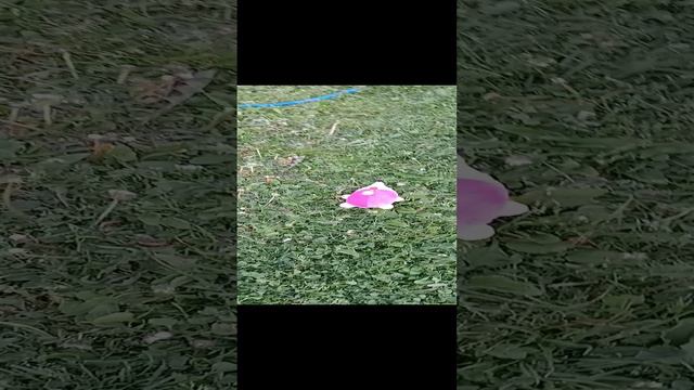 1000001867.mp4