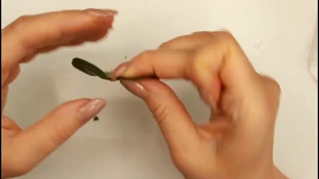 Мастер-класс: Брошь "Клевер" из полимерной глины FIMO/polymer clay tutorial