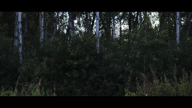 Ты рябинушка фолк-фьюжн-проект Русские сны