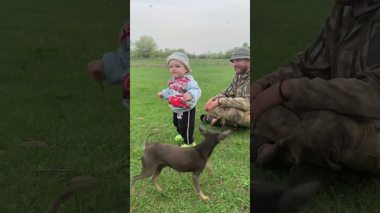 Животные и дети ! Доказано, животные помогают в развитии !  #животные #дети #subscribe #деревня