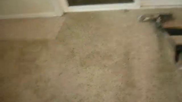 ORBIT CLEAN Boise 208-405-1023 Dirty Rental Carpet Cleaning Part 1