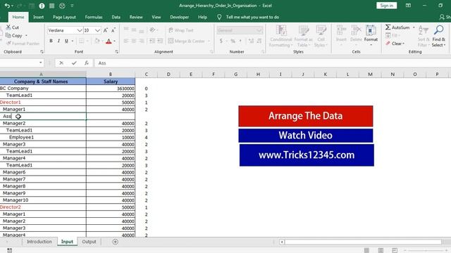 Arrange Hierarchy Order In Organisation Based On Indent Level Using VBA Macros||What is Indent Leve
