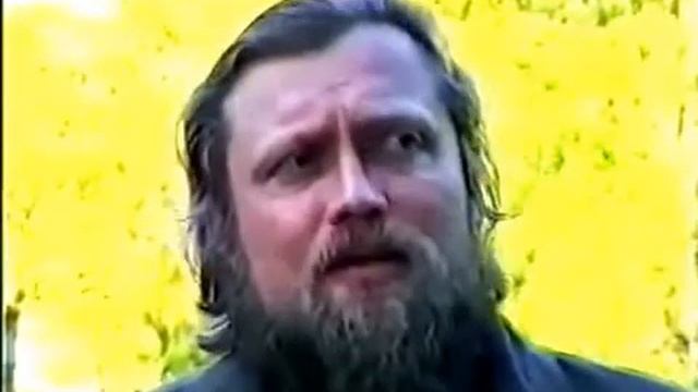 Полынь Горькая   лечебные свойства