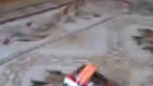 Моя сестрёнка играет с хомячком