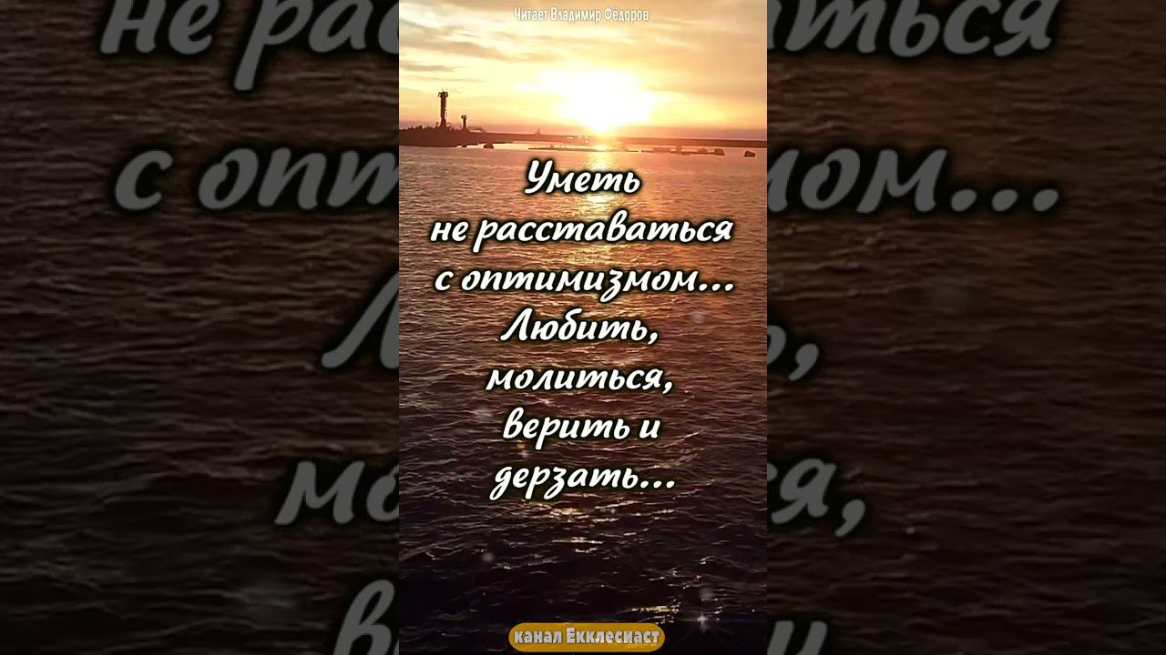 Давайте Просто Радоваться Жизни! #мудрость #цитаты #shorts