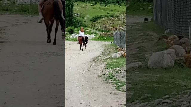 Небольшая конная🐴 прогулка⛰️по прекрасным простором верхней Балкарии