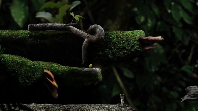 Seedlings - Душевное приключение семечки в лесу
