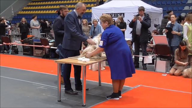 3 марта Н Тагил