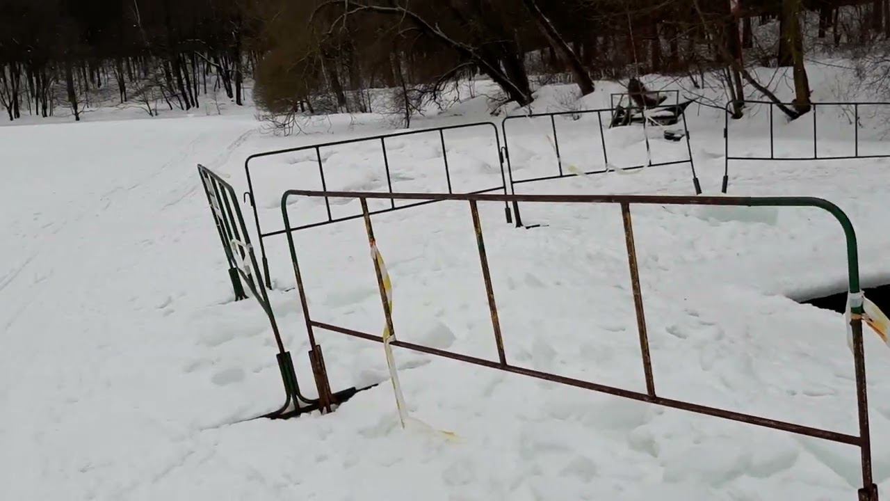 Лыжи. Верхний Царицынский пруд. Моржи. 26.02.2023