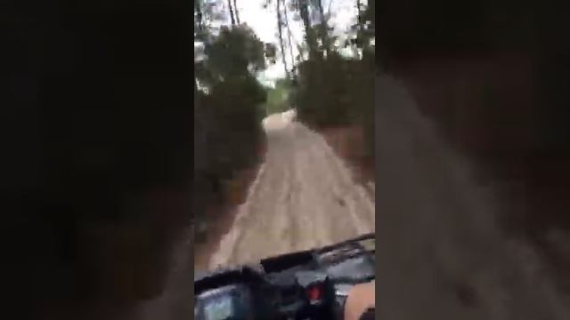 Suzuki KingQuad 750