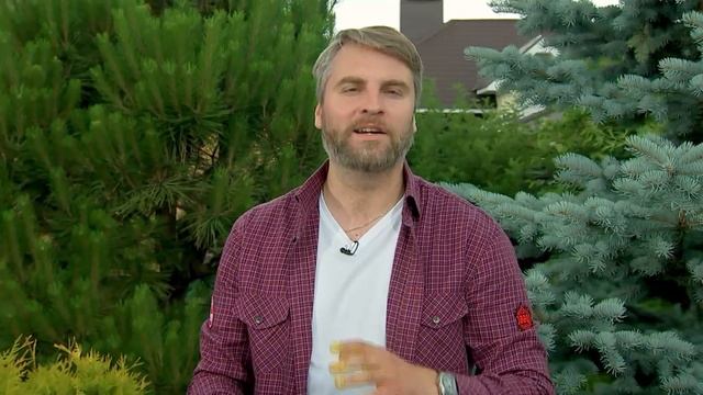 Сочная курица, угольный гриль. Рецепт на банке.