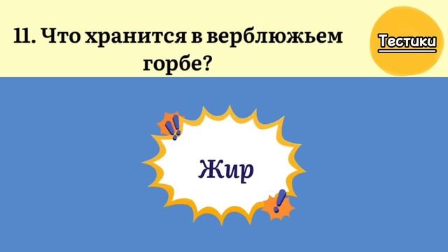 Интересный Тест на Эрудицию и Кругозор. Проверьте себя #викторина #эрудиция