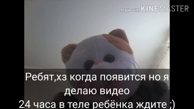 Будет видео 24 часа в теле ребёнка :)