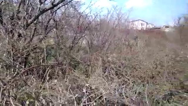 ЕЙСК. ДАЧИ🍒 ВСТРЕЧА С ЗЕМЛЯКАМИ! ВСХОДЯТ МОИ РАСТИШКИ!