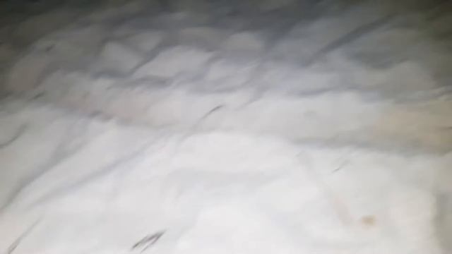 Мальдивы. Прогулка с рачками-отшельниками. Fihalhohi Island Resort