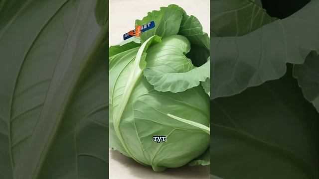 Анекдот ? про первую брачную ночь